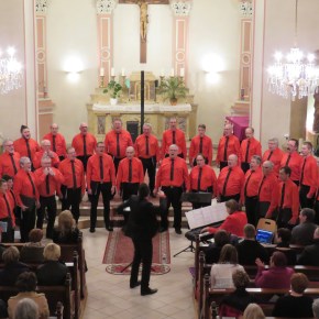 Vidéo : extraits du concert du 13/03/2016 à&nbsp;Henriville